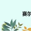 賽爾號LYN（賽爾號lyn）