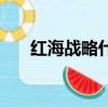 紅海戰略什么意思（什么是紅海戰略）