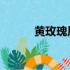 黃玫瑰原唱 視頻（黃玫瑰原唱）