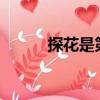 探花是第幾名?（探花是第幾名）