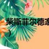 柴斯菲爾德家族（關于柴斯菲爾德家族的簡介）