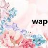 wapqq點亮器（wap qq）