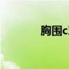 胸圍c罩杯大嗎（胸圍c罩杯）