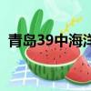 青島39中海洋班好不好（青島39中海洋班）