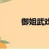 御姐武戲z神樂下載（御姐武戲z）