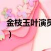 金枝玉葉演員表（關于金枝玉葉演員表的簡介）