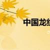 中國龍組1txt下載（中國龍組1）