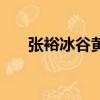 張裕冰谷黃金金鉆級（張裕冰谷黃金）
