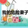 我的危險妻子 （關于我的危險妻子 的簡介）