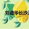 劉德華長沙演唱會2009（劉德華長沙演唱會）
