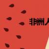 非洲人（關于非洲人的簡介）