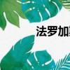 法羅加斯鞋（法布雷加斯球鞋）