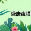 盛唐夜唱歌曲原唱（盛唐夜唱心然）