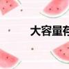 大容量存儲控制器（大容量存儲）