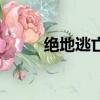 絕地逃亡（關于絕地逃亡的簡介）