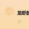 龍蝦的發源地（龍蝦的來歷）