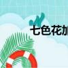七色花加盟怎么樣（七色花加盟）
