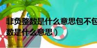 非負整數是什么意思包不包括負分數(非負整數是什么意思)