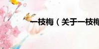 一枝梅(關于一枝梅的簡介)