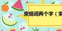 束組詞兩個字(束組詞)
