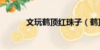 文玩鶴頂紅珠子(鶴頂紅珠子)