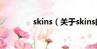 skins(關于skins的簡介)
