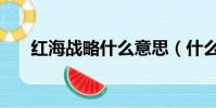 紅海戰略什么意思(什么是紅海戰略)