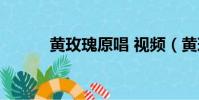 黃玫瑰原唱 視頻(黃玫瑰原唱)