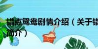 錯點鴛鴦劇情介紹(關于錯點鴛鴦劇情介紹的簡介)