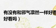 有沒有和邪氣凜然一樣好看的小說(邪氣凜然好看嗎)