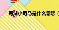 蕪湖小司馬是什么意思(蕪湖小司馬)
