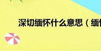 深切緬懷什么意思(緬懷什么意思)