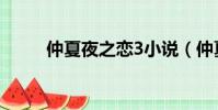 仲夏夜之戀3小說(仲夏夜之戀3)