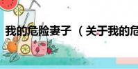 我的危險妻子 (關于我的危險妻子 的簡介)