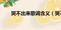 哭不出來歌詞含義(哭不出來歌詞)