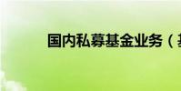 國內私募基金業務(基金業務)