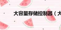 大容量存儲控制器(大容量存儲)