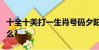 十全十美打一生肖號碼夕陽西下打一生肖是什么?
