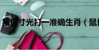 鼠目寸光打一準確生肖(鼠目寸光打一生肖)