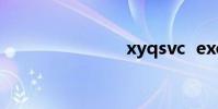 xyqsvc exe