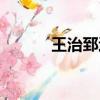 王治郅退役了嗎（王治郅退役）