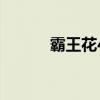 霸王花4（關于霸王花4的簡介）