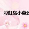 彩虹島小草還能用嗎（彩虹島小草怎么用）