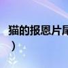 貓的報恩片尾曲（關于貓的報恩片尾曲的簡介）