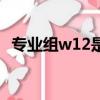 專業組w12是什么意思（w12是什么意思）
