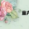 童卉（關于童卉的簡介）