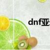 dnf亞米寵物屬性（dnf亞米）