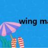 wing man（wingman什么意思）