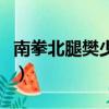 南拳北腿樊少皇（關于南拳北腿樊少皇的簡介）