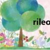 rileosip rnice（rileosip）